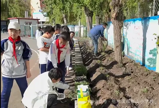 泰山小学远程种植活动侧记 第24张