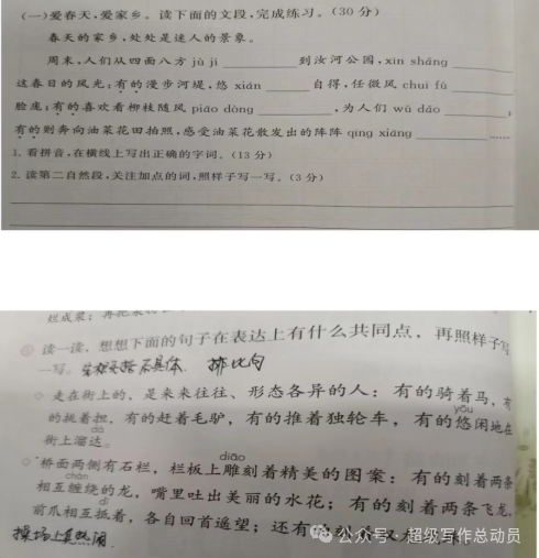 小学语文下册期中监测质量分析(三年级) 第3张