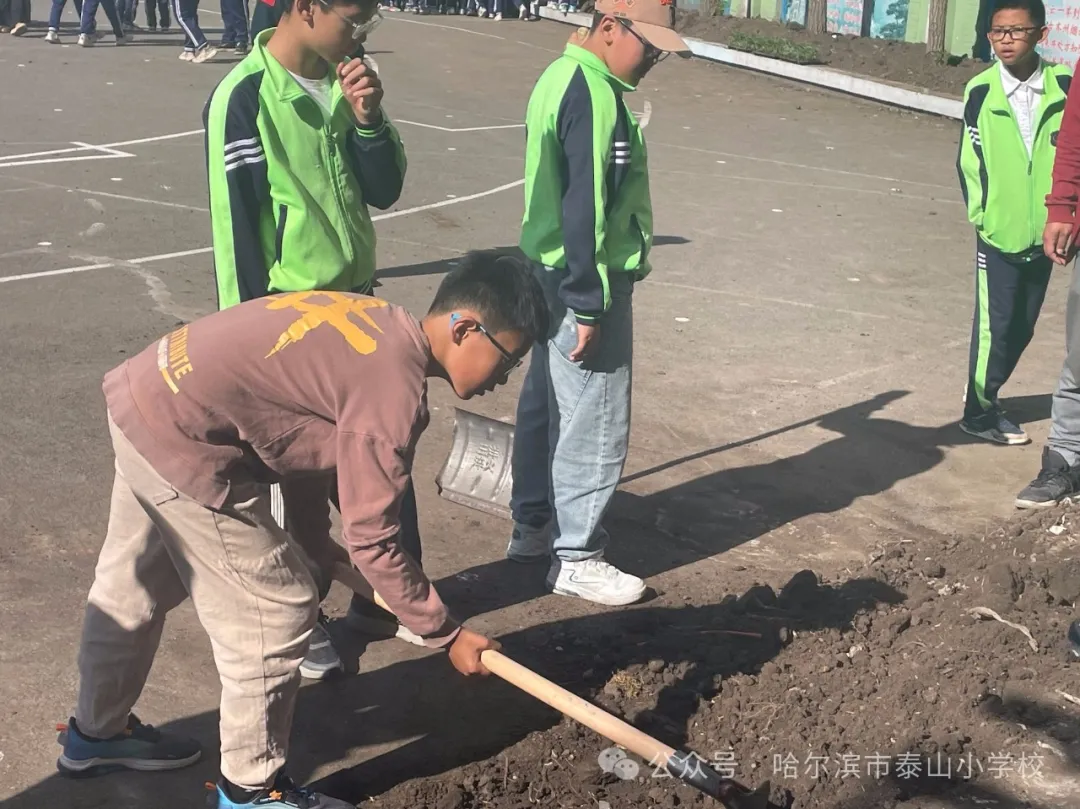 泰山小学远程种植活动侧记 第18张