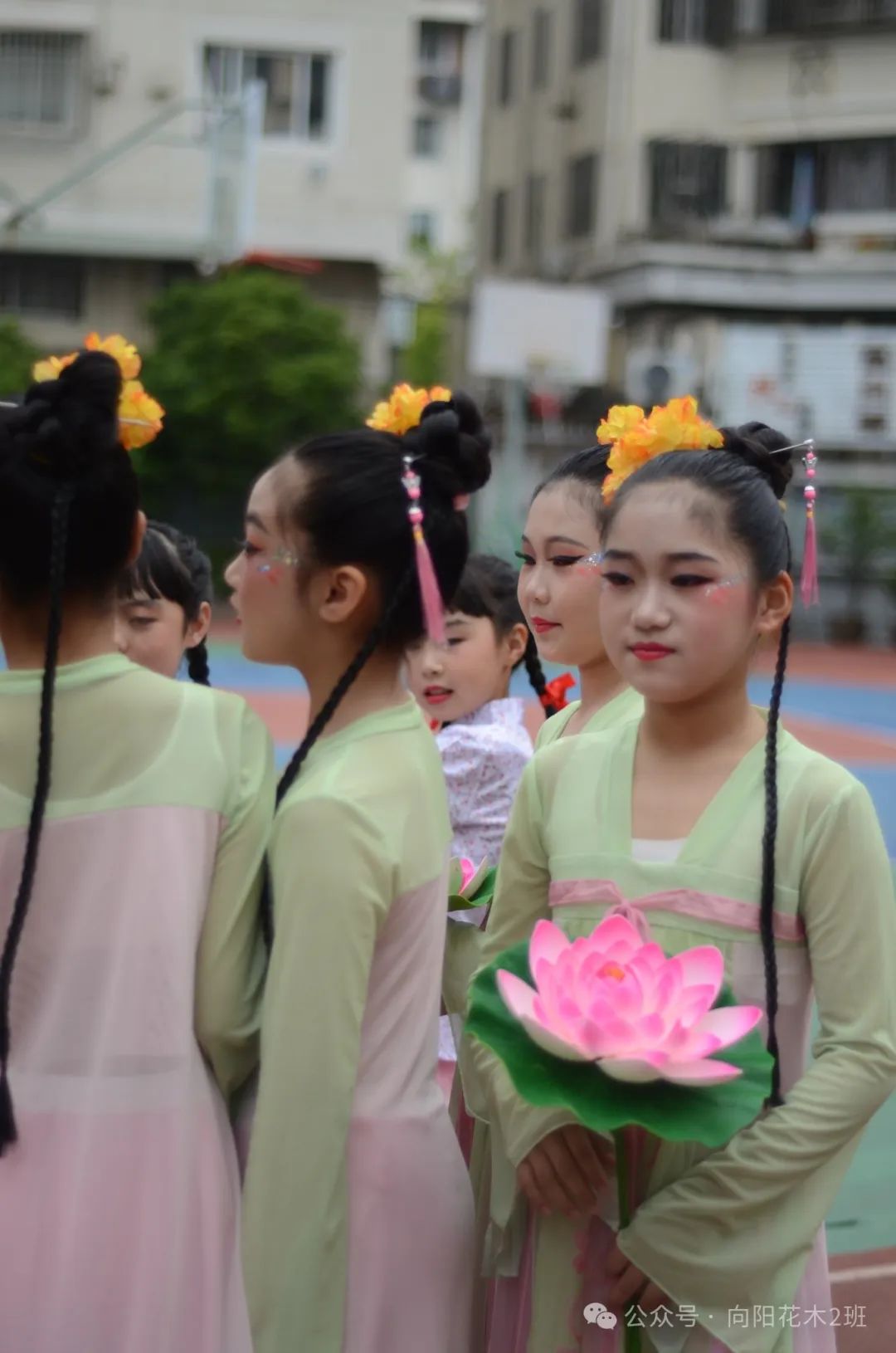 万物向阳,小满得盈----人民小学四(2)班值周活动特辑 第17张