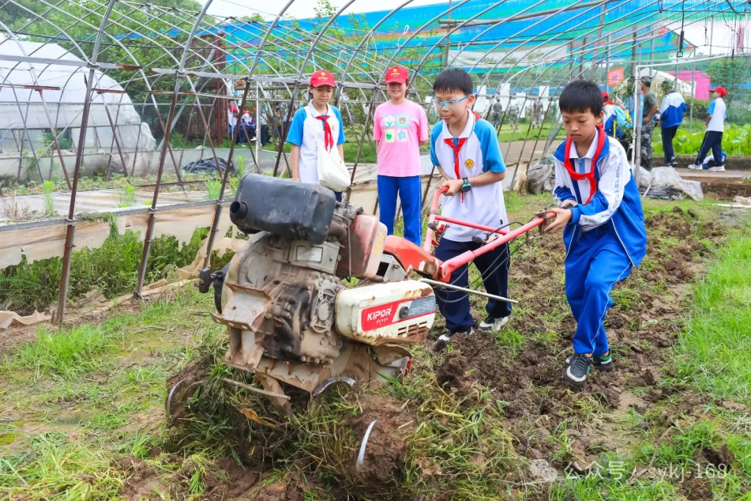 20240522D衡山县实验小学研学实践活动 第51张