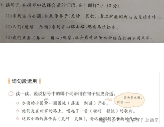 小学语文下册期中监测质量分析(三年级) 第4张