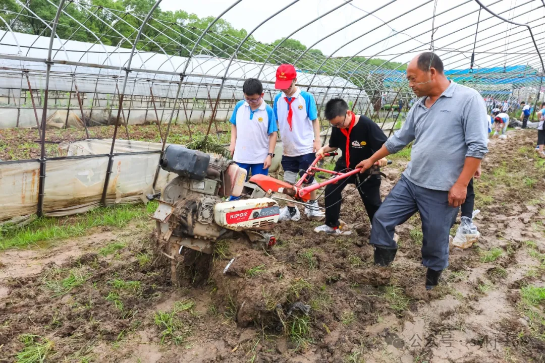 20240522D衡山县实验小学研学实践活动 第55张