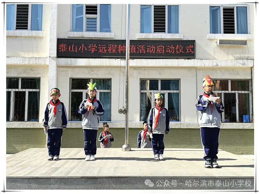 泰山小学远程种植活动侧记 第8张