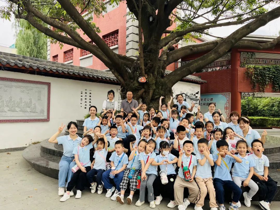 小学,你好 第47张