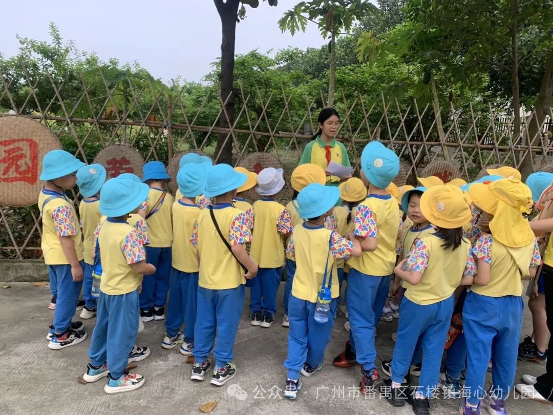 探秘小学,筑梦成长——石楼镇海心幼儿园幼小衔接参观海鸥学校活动 第50张