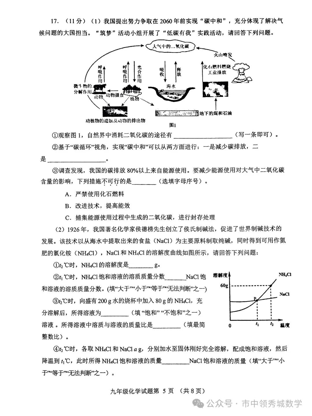 【中考】历城二模化学试卷 第5张