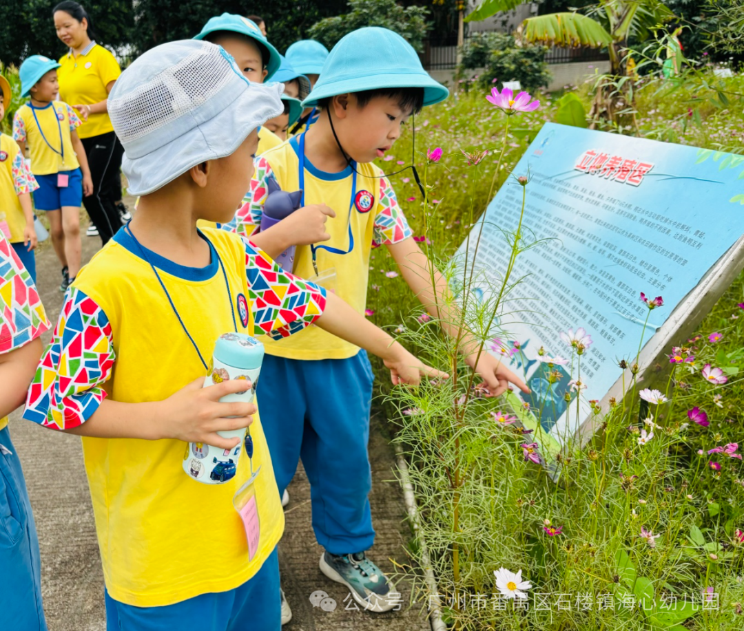 探秘小学,筑梦成长——石楼镇海心幼儿园幼小衔接参观海鸥学校活动 第66张