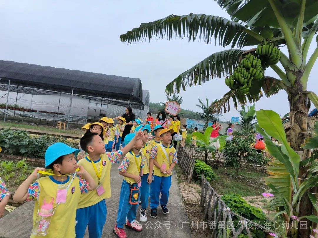 探秘小学,筑梦成长——石楼镇海心幼儿园幼小衔接参观海鸥学校活动 第56张