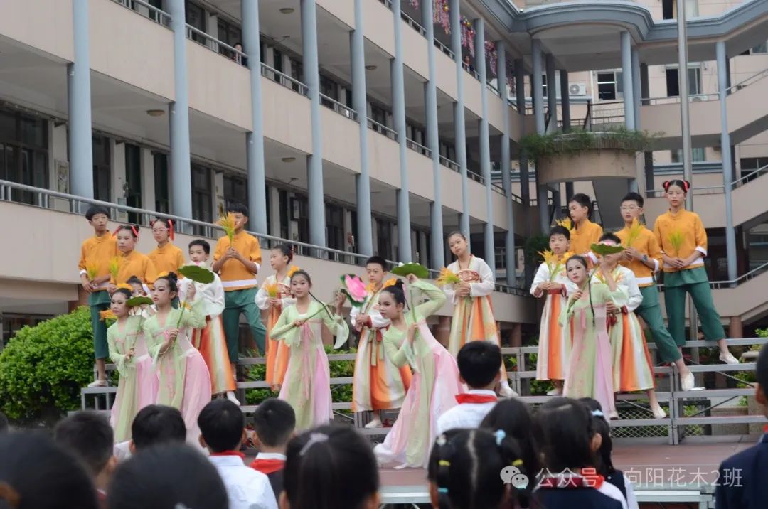 万物向阳,小满得盈----人民小学四(2)班值周活动特辑 第5张