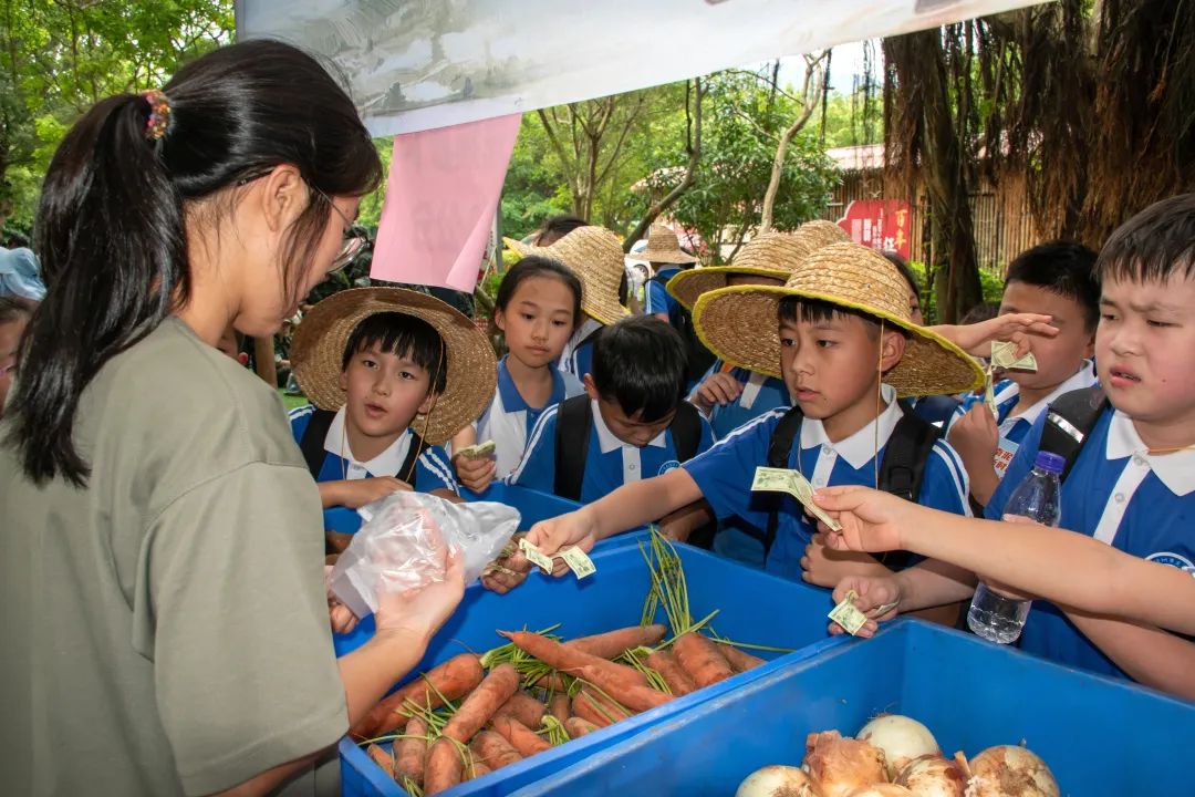 龙飞小学3-6年级学生主题式研学课程活动精彩回顾 第111张