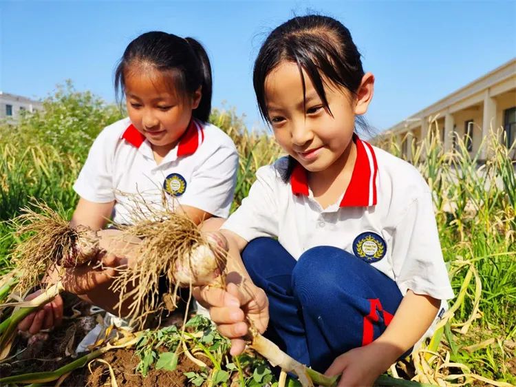 马桥镇陈庄小学第13周工作简报 第38张