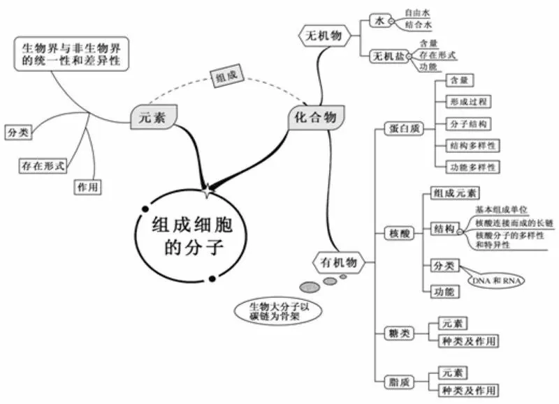 2024新版中考9科全套思维导图,考前过一遍,知识更清晰! 第18张