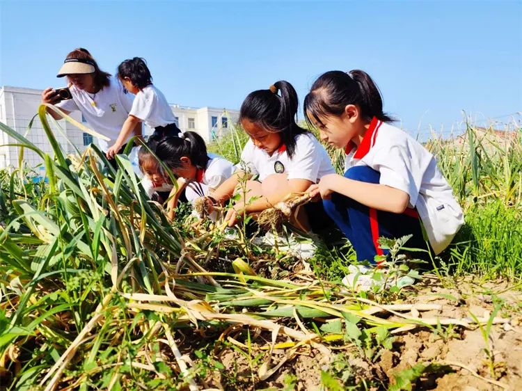 马桥镇陈庄小学第13周工作简报 第40张