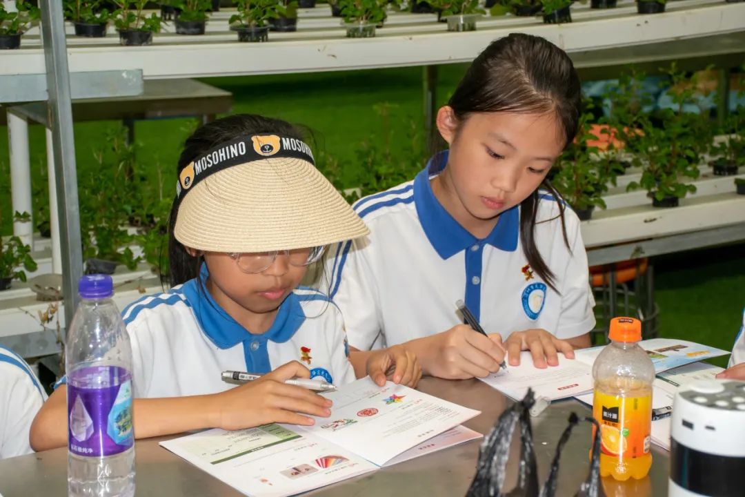 龙飞小学3-6年级学生主题式研学课程活动精彩回顾 第110张