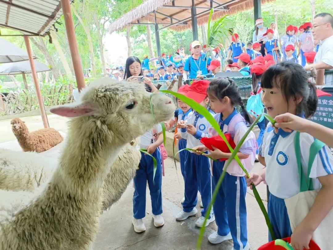 龙飞小学1-2年级学生主题式研学课程活动精彩回顾 第40张