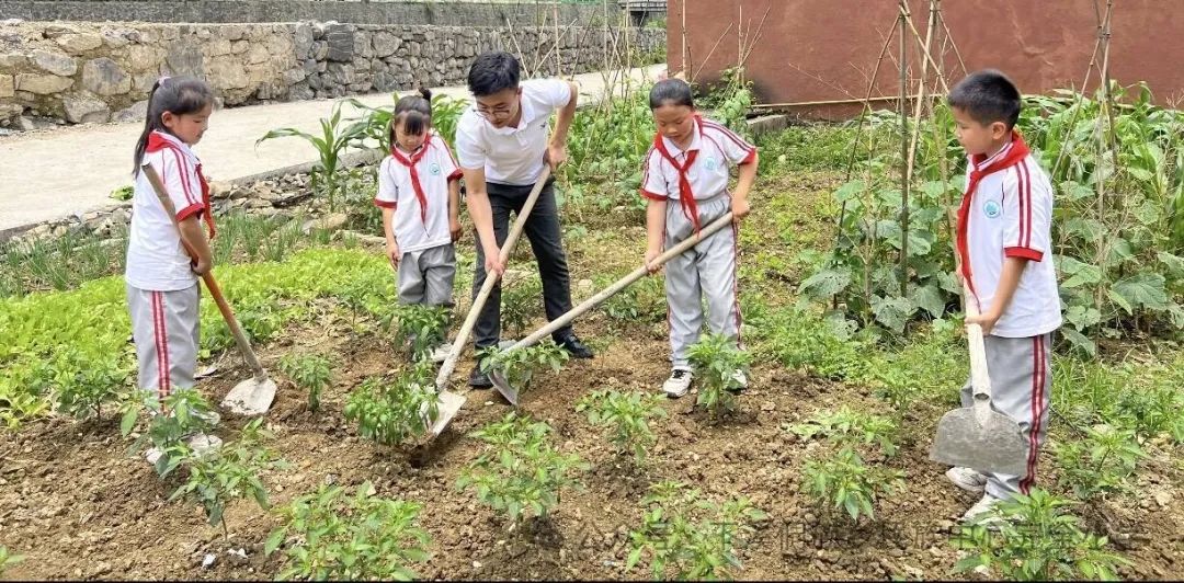 下溪小学一周动态5月20——5月24日 第16张