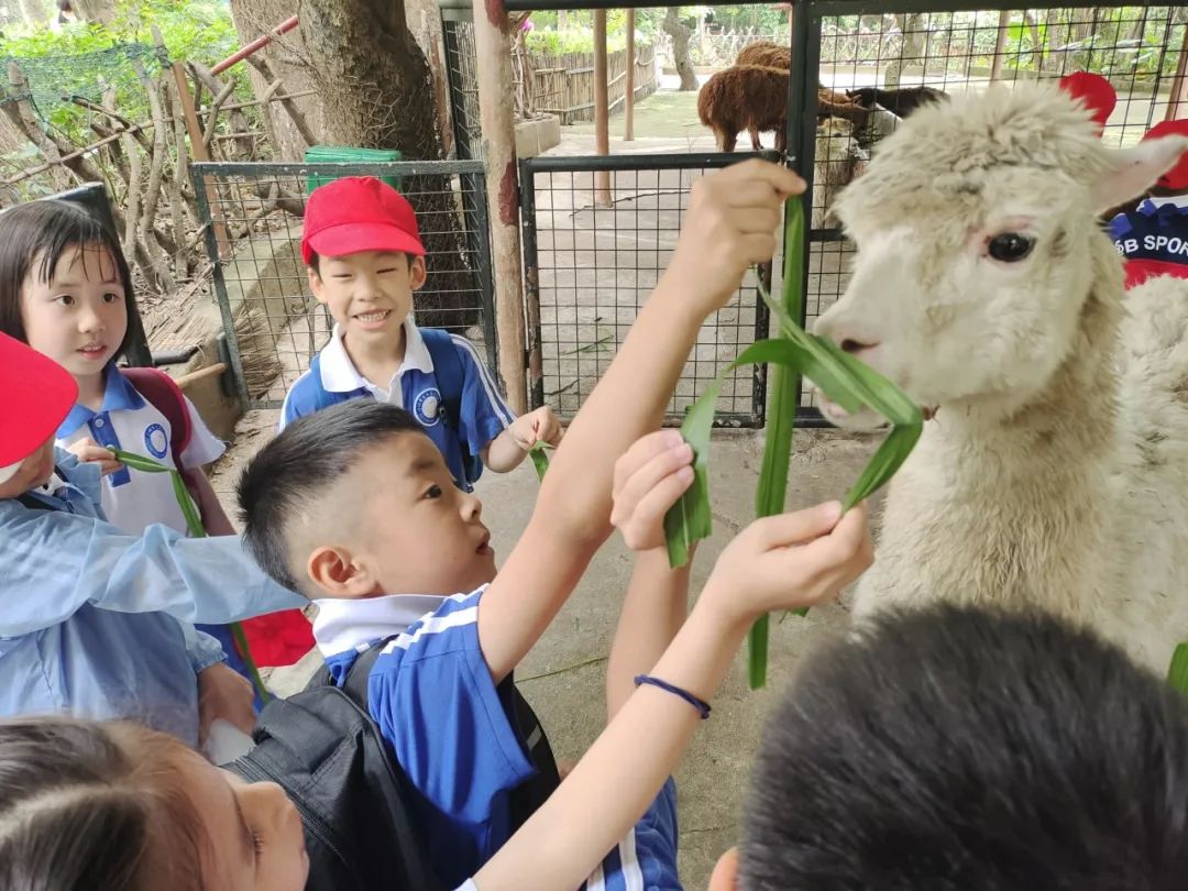 龙飞小学1-2年级学生主题式研学课程活动精彩回顾 第37张