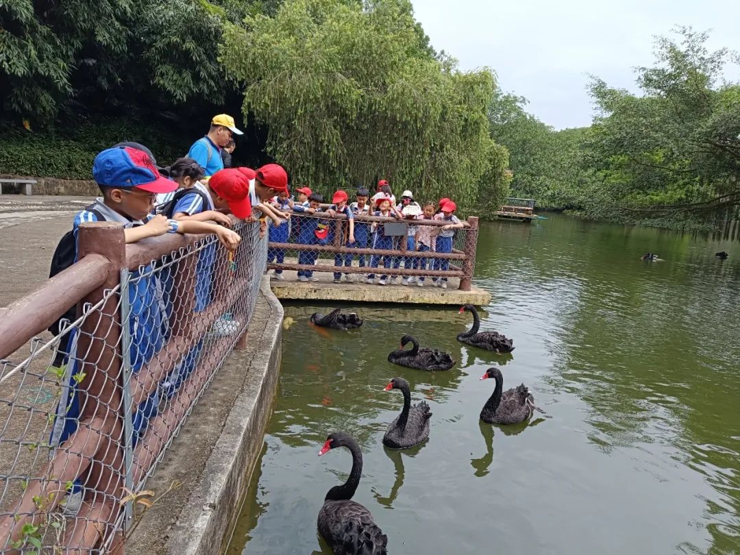 龙飞小学1-2年级学生主题式研学课程活动精彩回顾 第20张