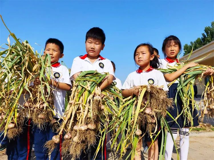 马桥镇陈庄小学第13周工作简报 第37张