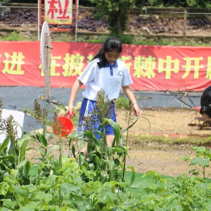 龙飞小学3-6年级学生主题式研学课程活动精彩回顾 第80张