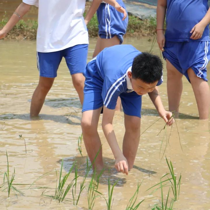 龙飞小学3-6年级学生主题式研学课程活动精彩回顾 第29张