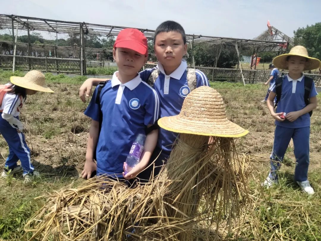 龙飞小学3-6年级学生主题式研学课程活动精彩回顾 第106张