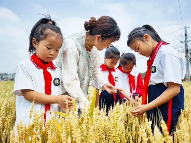 马桥镇陈庄小学第13周工作简报 第62张