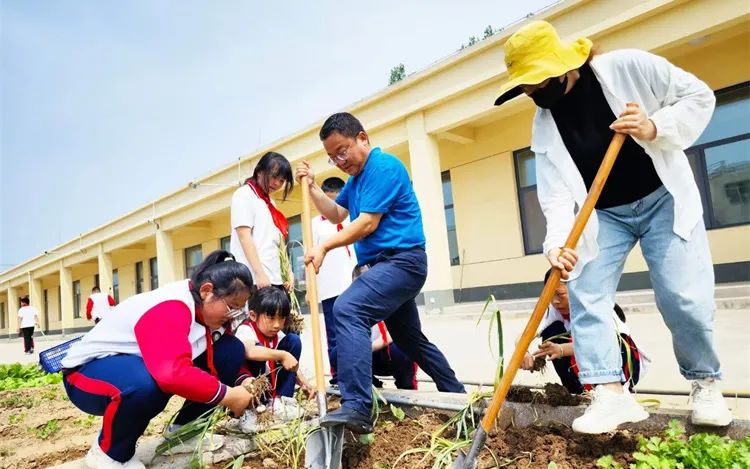 马桥镇陈庄小学第13周工作简报 第35张