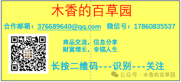 中考英语一定要背的200个高频词汇 第1张