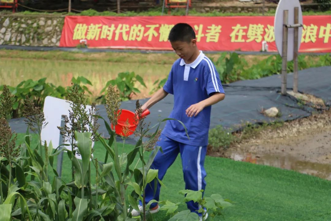 龙飞小学3-6年级学生主题式研学课程活动精彩回顾 第79张