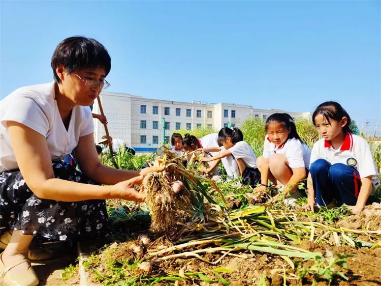 马桥镇陈庄小学第13周工作简报 第39张