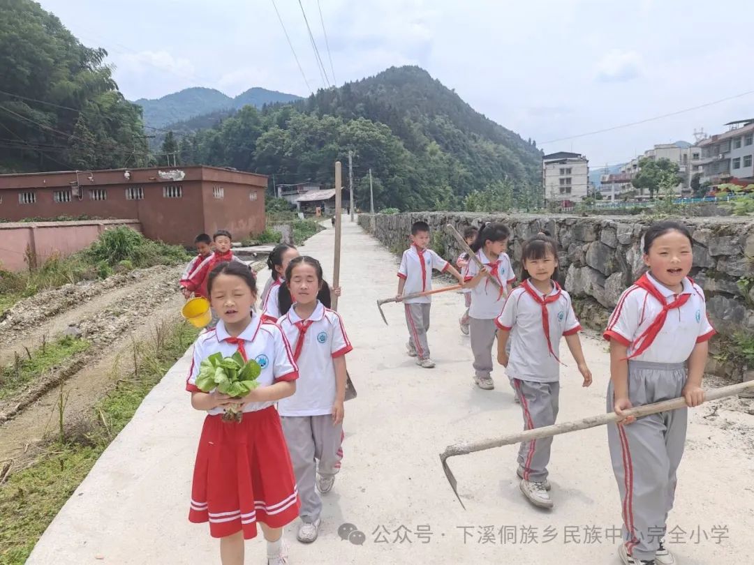 下溪小学一周动态5月20——5月24日 第15张