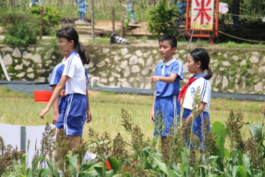 龙飞小学3-6年级学生主题式研学课程活动精彩回顾 第78张