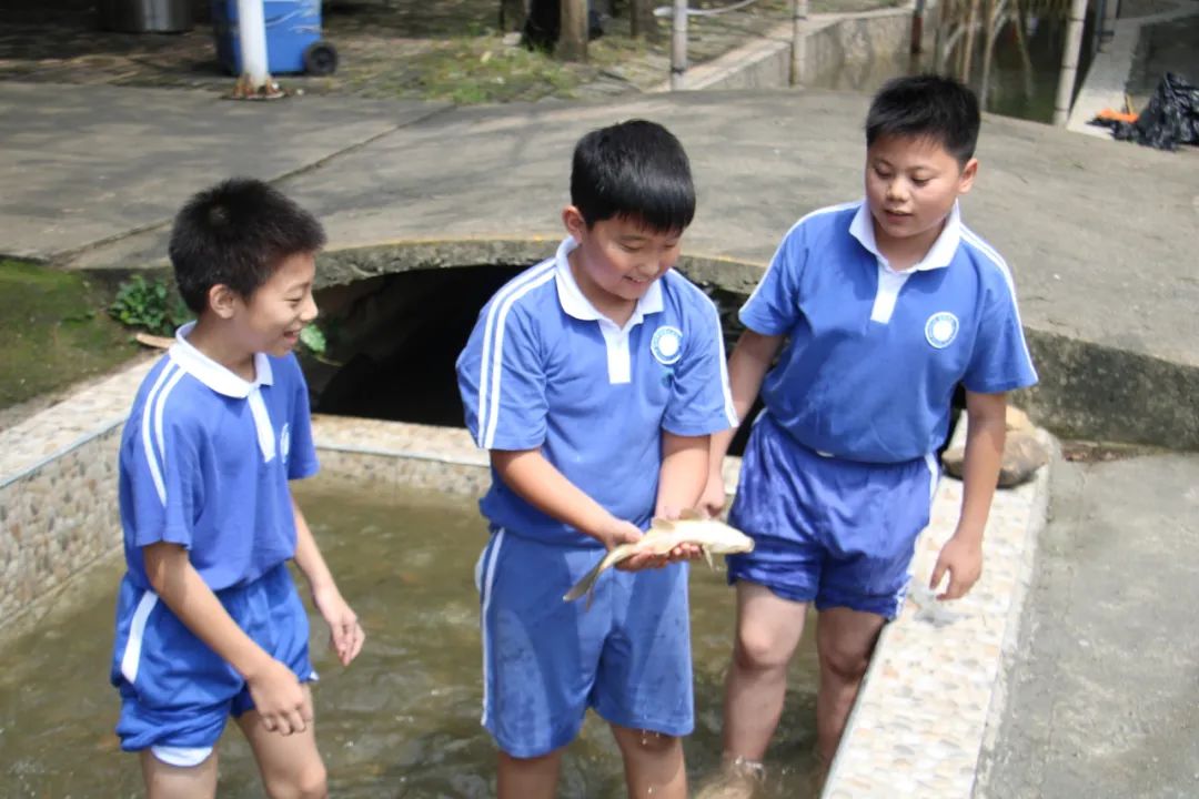 龙飞小学3-6年级学生主题式研学课程活动精彩回顾 第57张