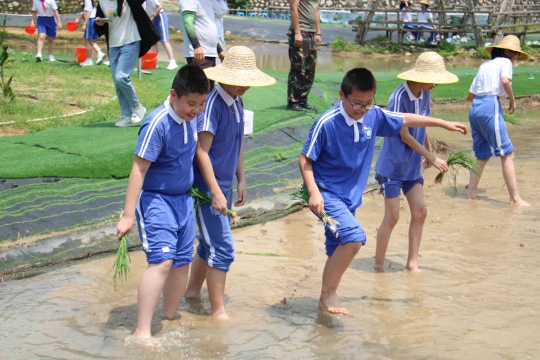 龙飞小学3-6年级学生主题式研学课程活动精彩回顾 第27张