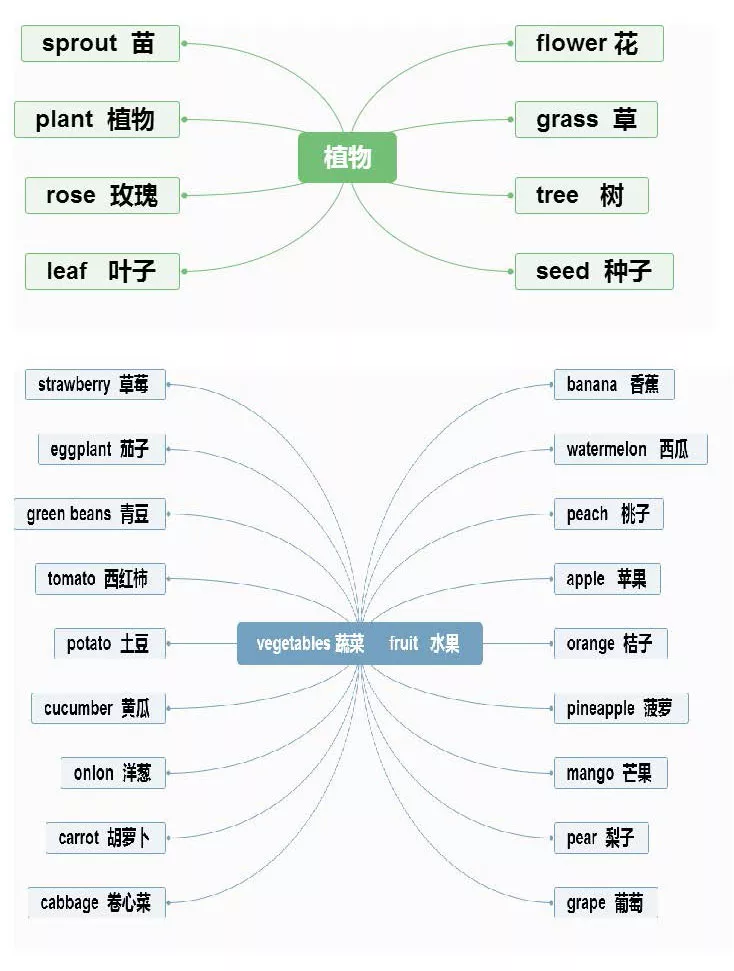 【小学英语】1-6年级重点知识思维导图汇总,收藏! 第3张