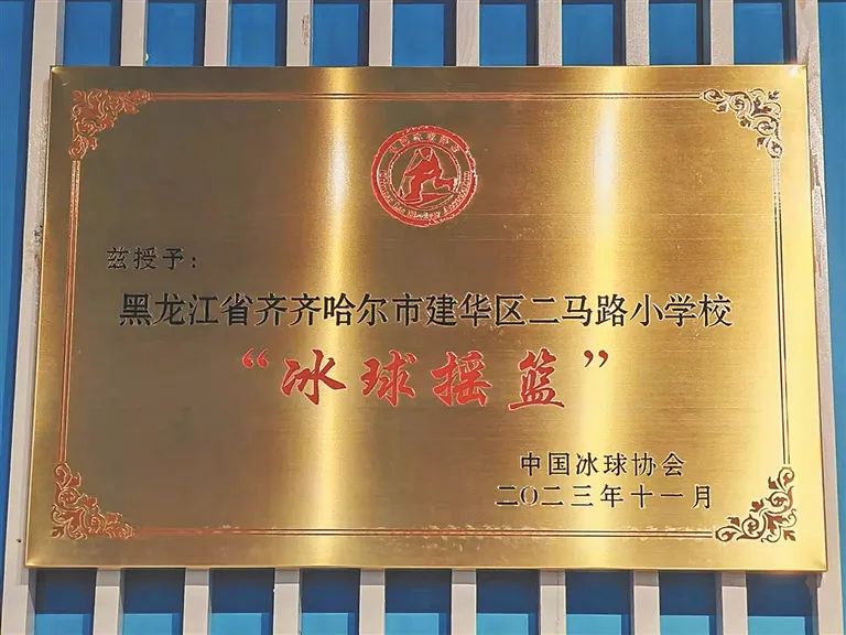 揭秘!黑龙江一小学培养出80多名“国字号”选手 第4张