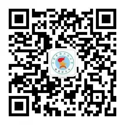 “典”亮校园 护航成长——六安市梅山路小学组织开展民法典进校园系列主题教育实践活动 第11张