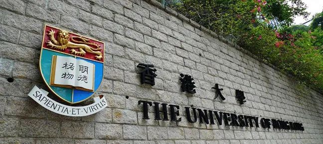 从高考文科省前50到香港大学再到中环金融打工人,我后悔了吗? 第15张