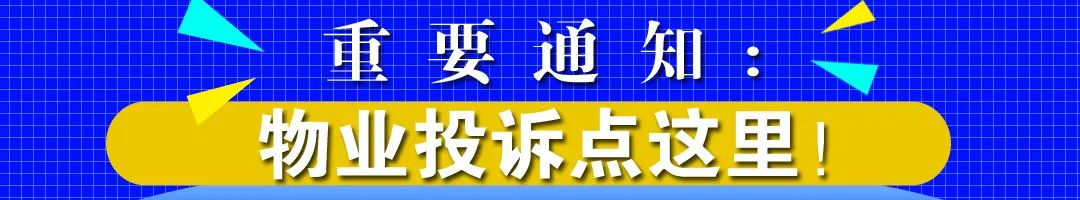 揭秘!黑龙江一小学培养出80多名“国字号”选手 第1张