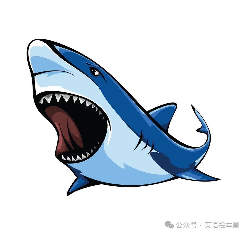 小学英语作文范文:Sharks鲨鱼 第1张