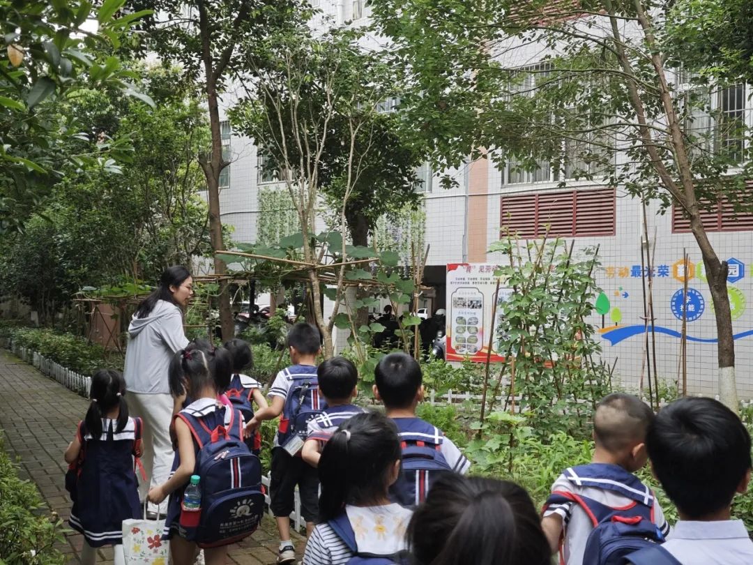 小学初体验,衔接助成长——龙南市龙洲小学幼小衔接之参观校园活动 第16张