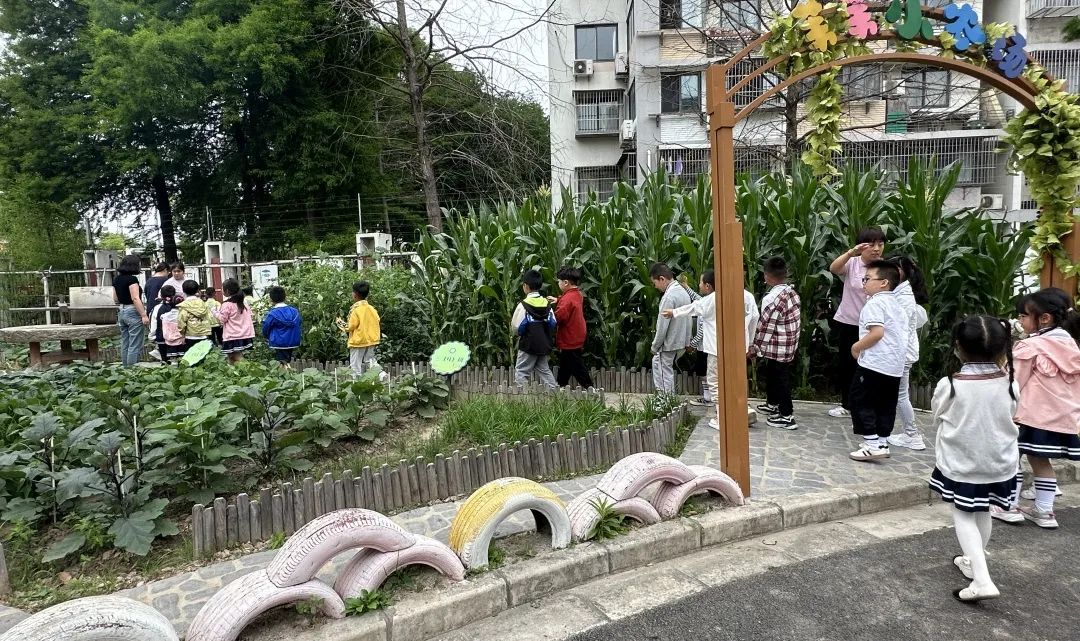 【靖海之星教育集团】【幼儿成长】走进小学,初探成长——彭镇幼儿园大班组参观小学活动 第53张