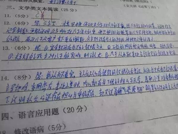 中考试卷扫描后啥样?评卷误差咋回事? 第17张