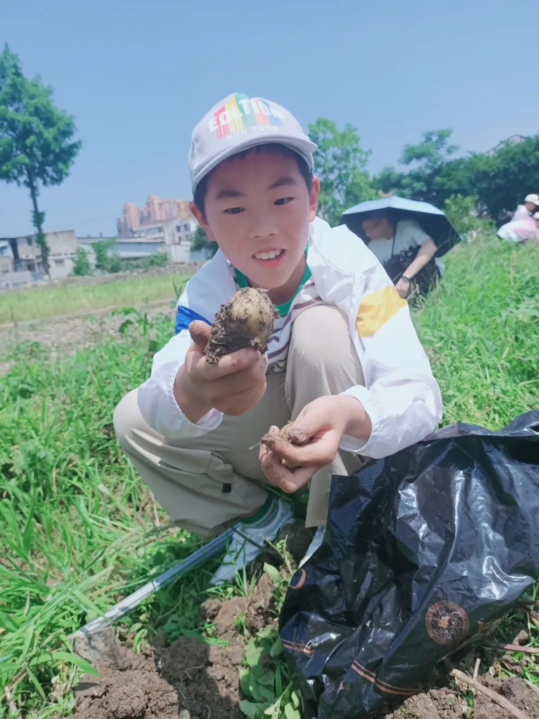 【劳动教育】土豆你好——鳌江实验小学2024年“收获节”挖土豆劳动主题实践活动 第16张