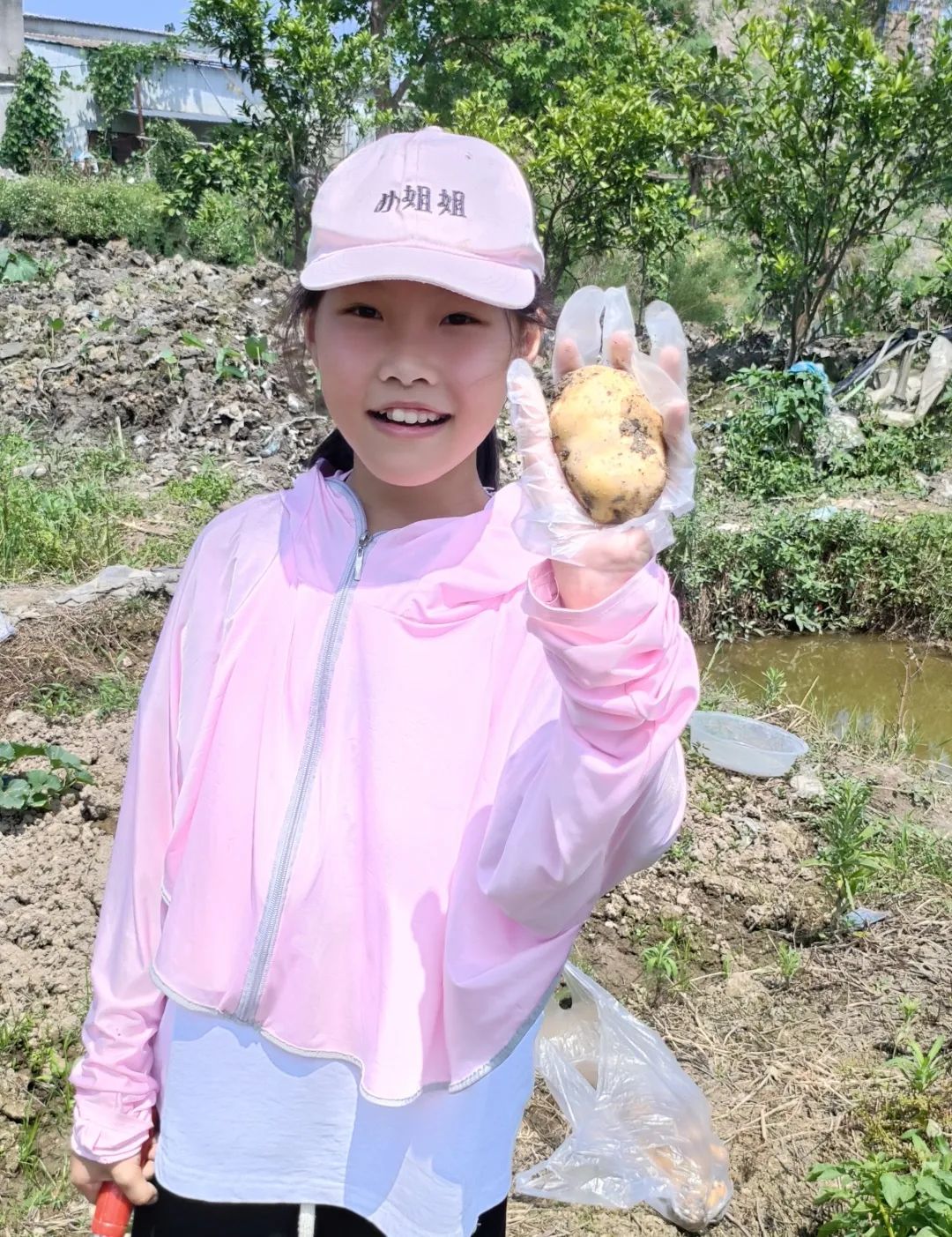 【劳动教育】土豆你好——鳌江实验小学2024年“收获节”挖土豆劳动主题实践活动 第17张