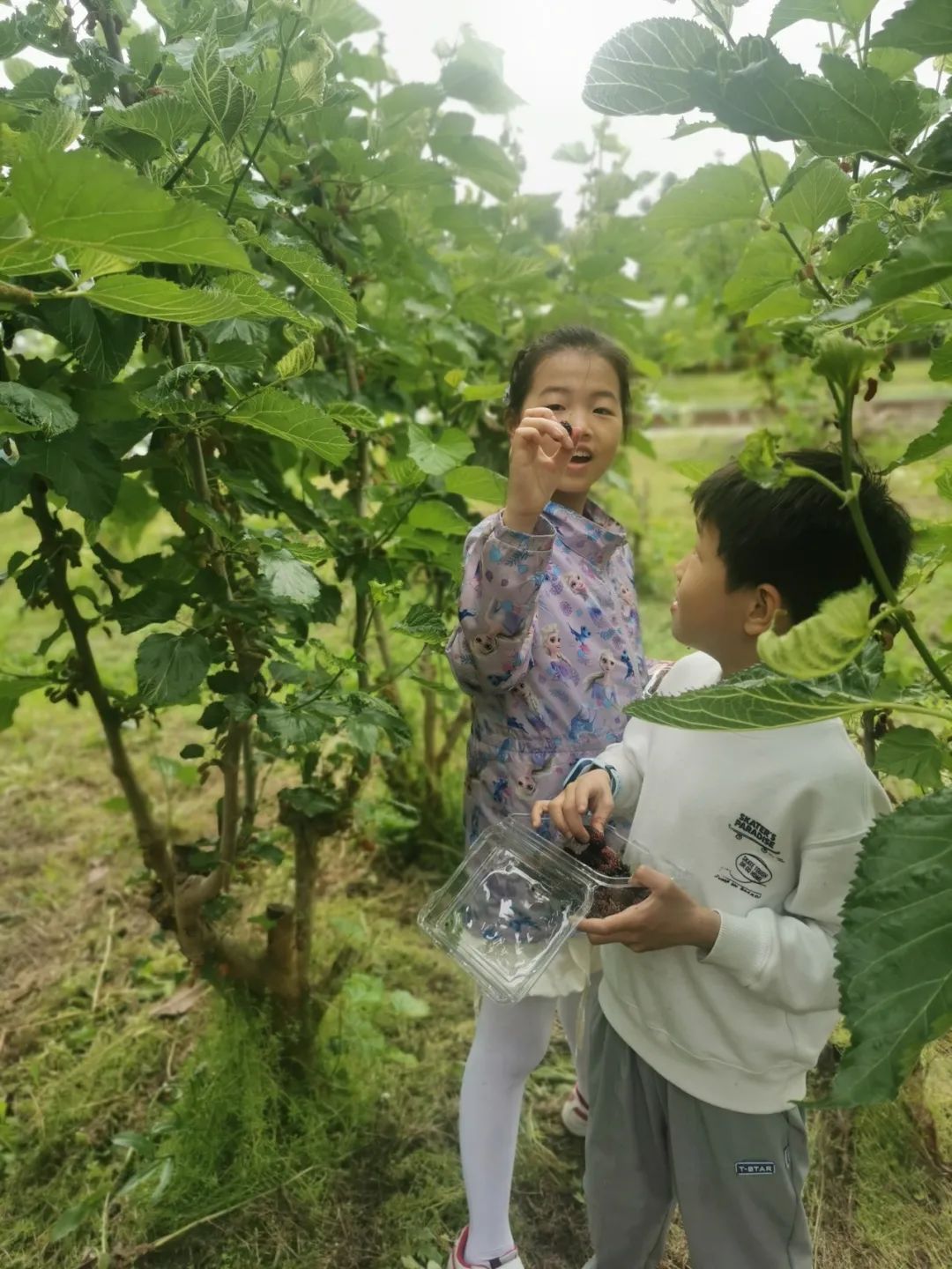 劳动是一切幸福的源泉 ——北二小学2024第四届劳动周劳动作品展示 第69张