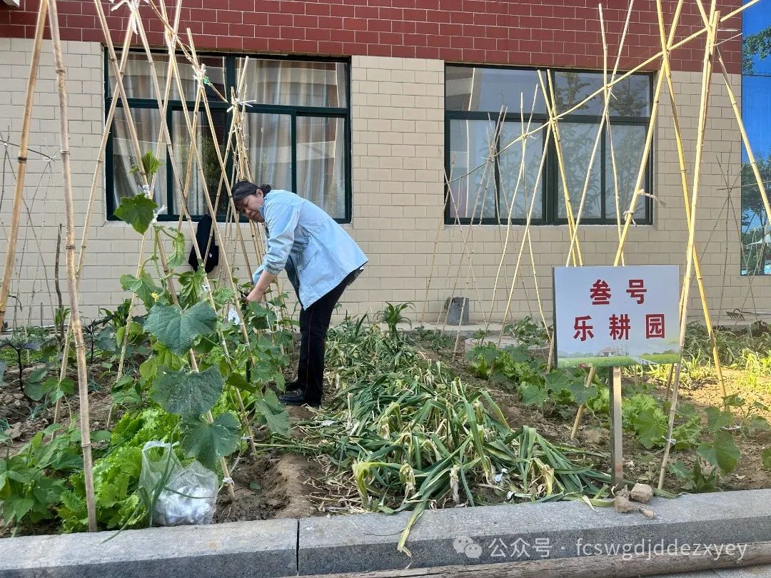 【小学初体验,衔接共成长】王瓜店街道第二中心幼儿园开展“守护育幼底线,成就美好童年”幼小衔接活动 第91张