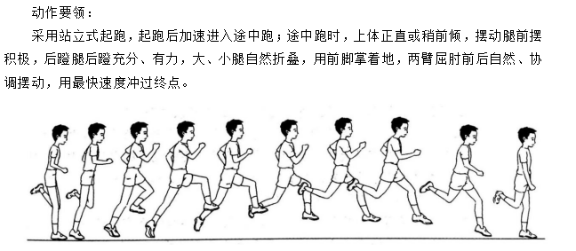 【招聘面试】小学体育面试试讲《50米快速跑》 第2张